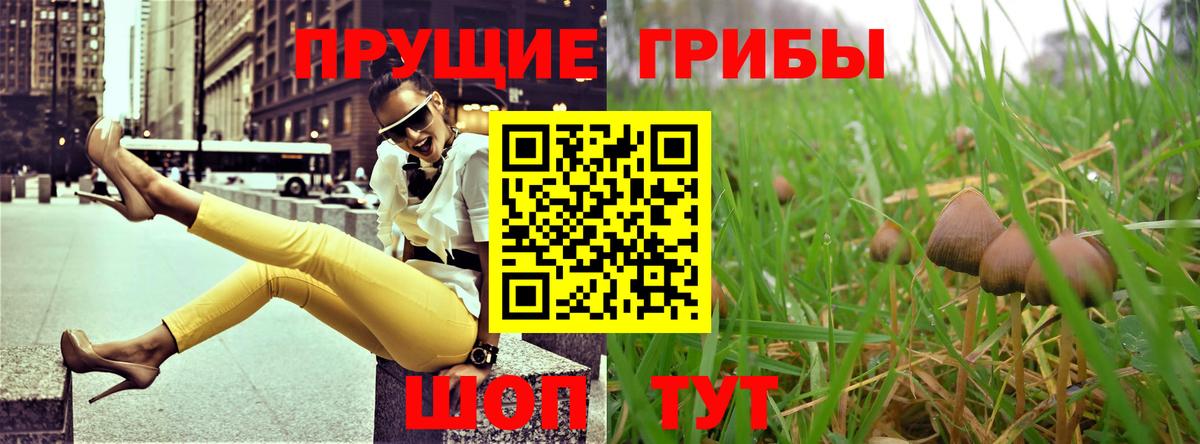 Назрань  Псилоцибиновые грибы MAGIC MUSHROOMS  Псилоцибиновые грибы Magic Shrooms  Вход с VPN 