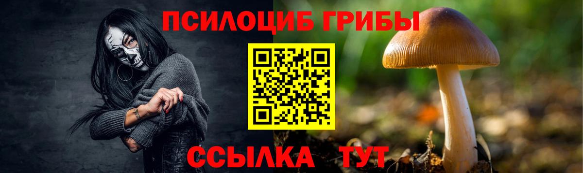 Псилоцибиновые грибы прущие грибы Назрань